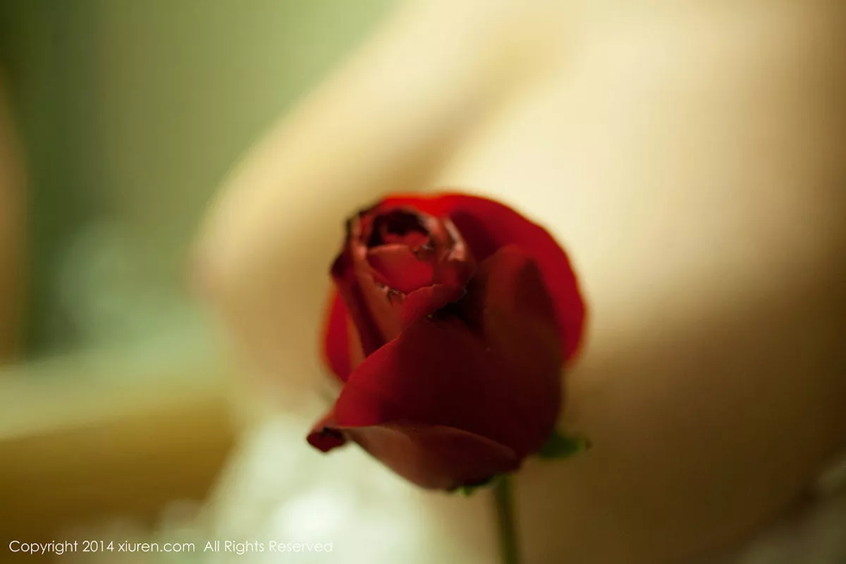 秀人集.com_[XiuRen秀人网]No.104_E罩杯嫩模杨依玫瑰花瓣遮体全裸人体艺术诱惑写真60P