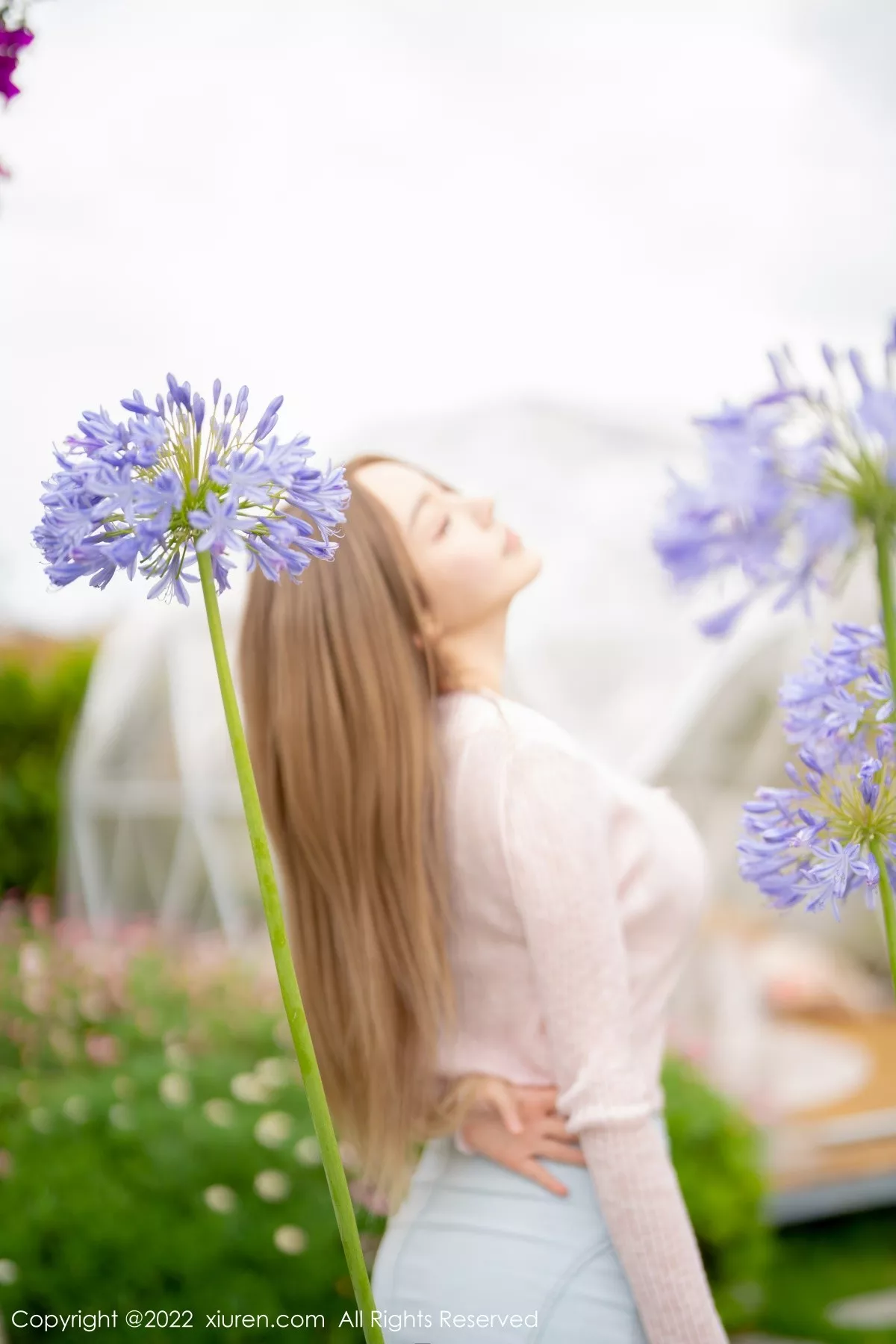 秀人集.com_[XiuRen秀人网]No.5295_女神朱可儿Flora大理旅拍粉色上衣配超薄无内肉丝撩人诱惑写真71P