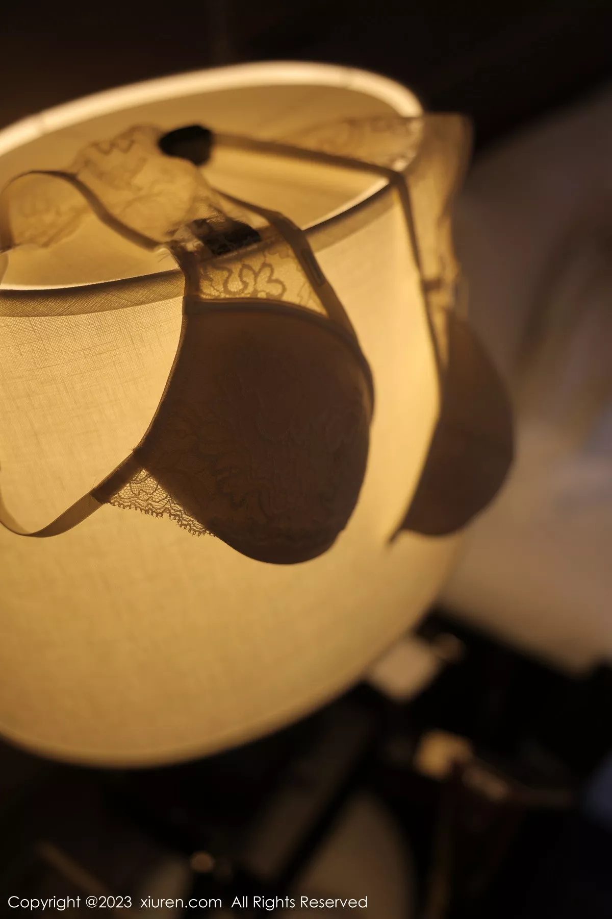 秀人集.com_[XiuRen秀人网]No.6290_模特yoo优优私房床上性感白色蕾丝内衣配超薄黑丝撩人诱惑写真84P