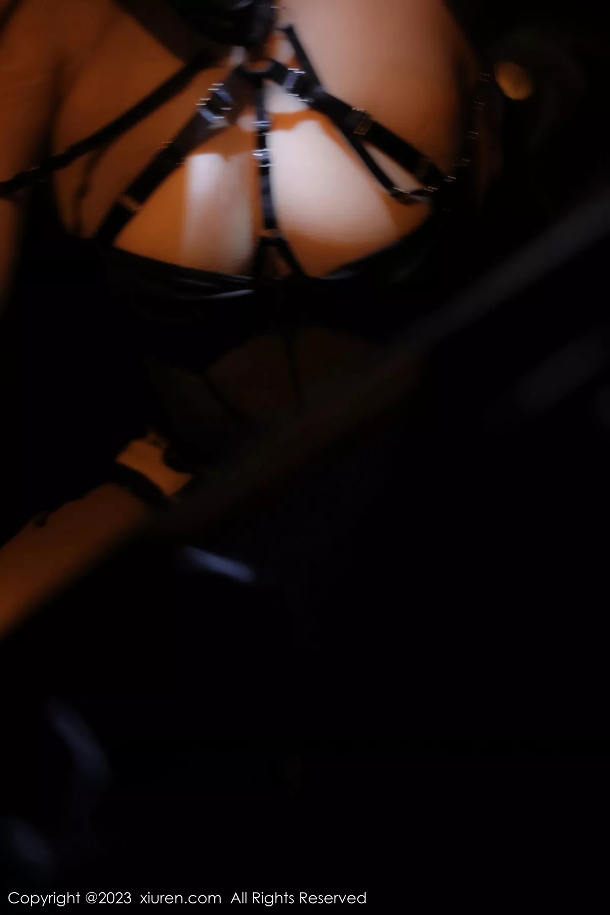 秀人集.com_[XiuRen秀人网]No.6650_模特江真真性感黑色薄透情趣内衣配黑丝吊袜秀惹火身材诱惑写真88P