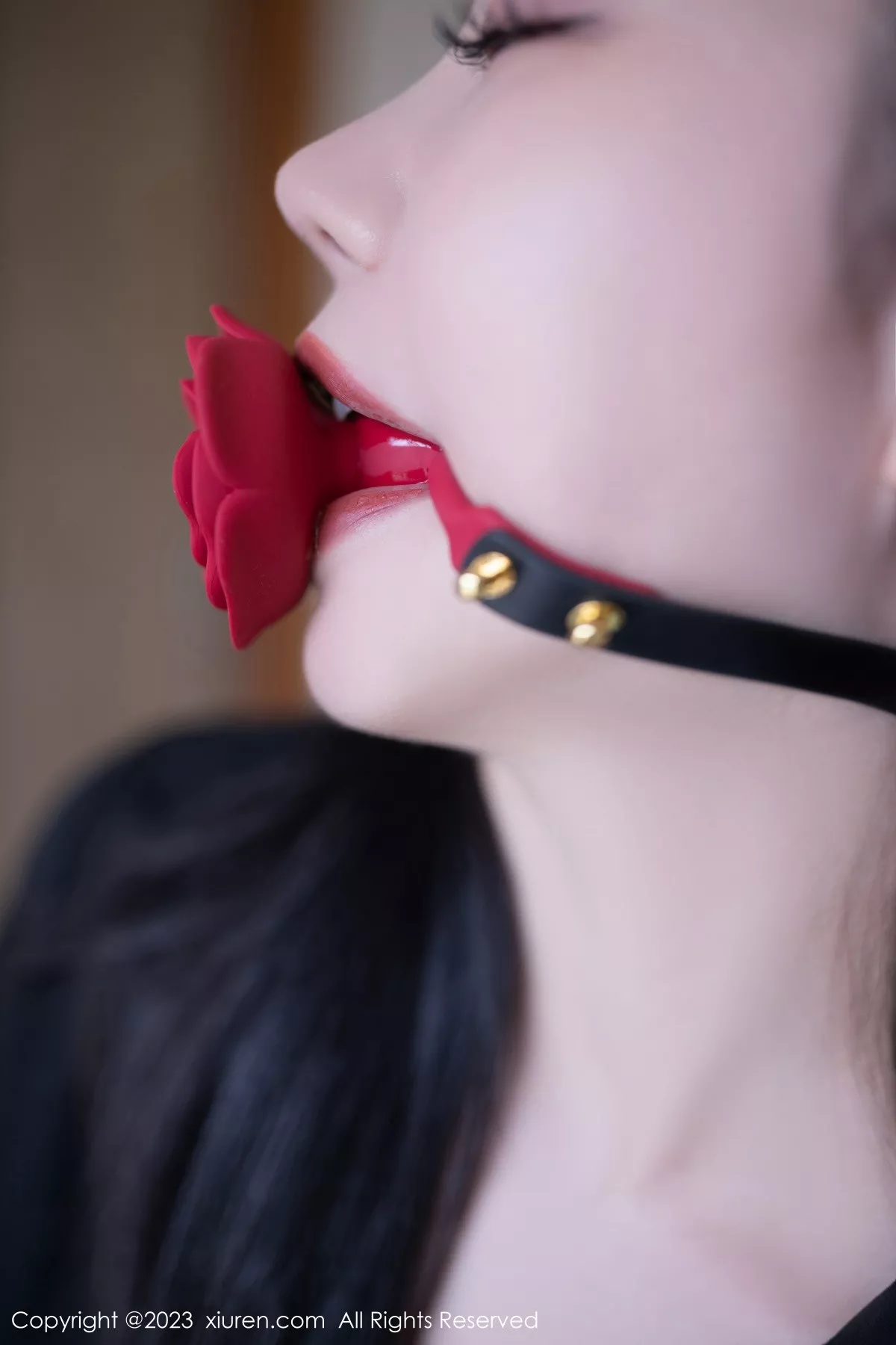 秀人集.com_[XiuRen秀人网]No.6867_模特安然anran私房性感黑色内衣配黑丝吊袜秀曼妙身姿诱惑写真80P