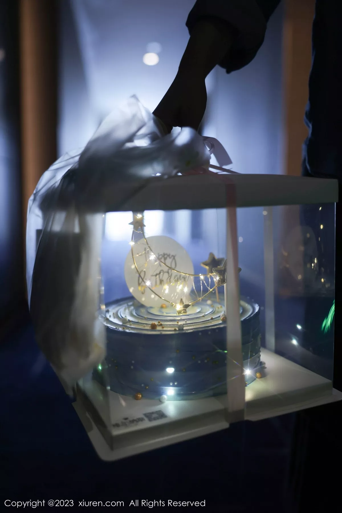 秀人集.com_[XiuRen秀人网]No.7348_模特幼幼性感白色网纱服饰露白色蕾丝内衣秀完美身材诱惑写真80P