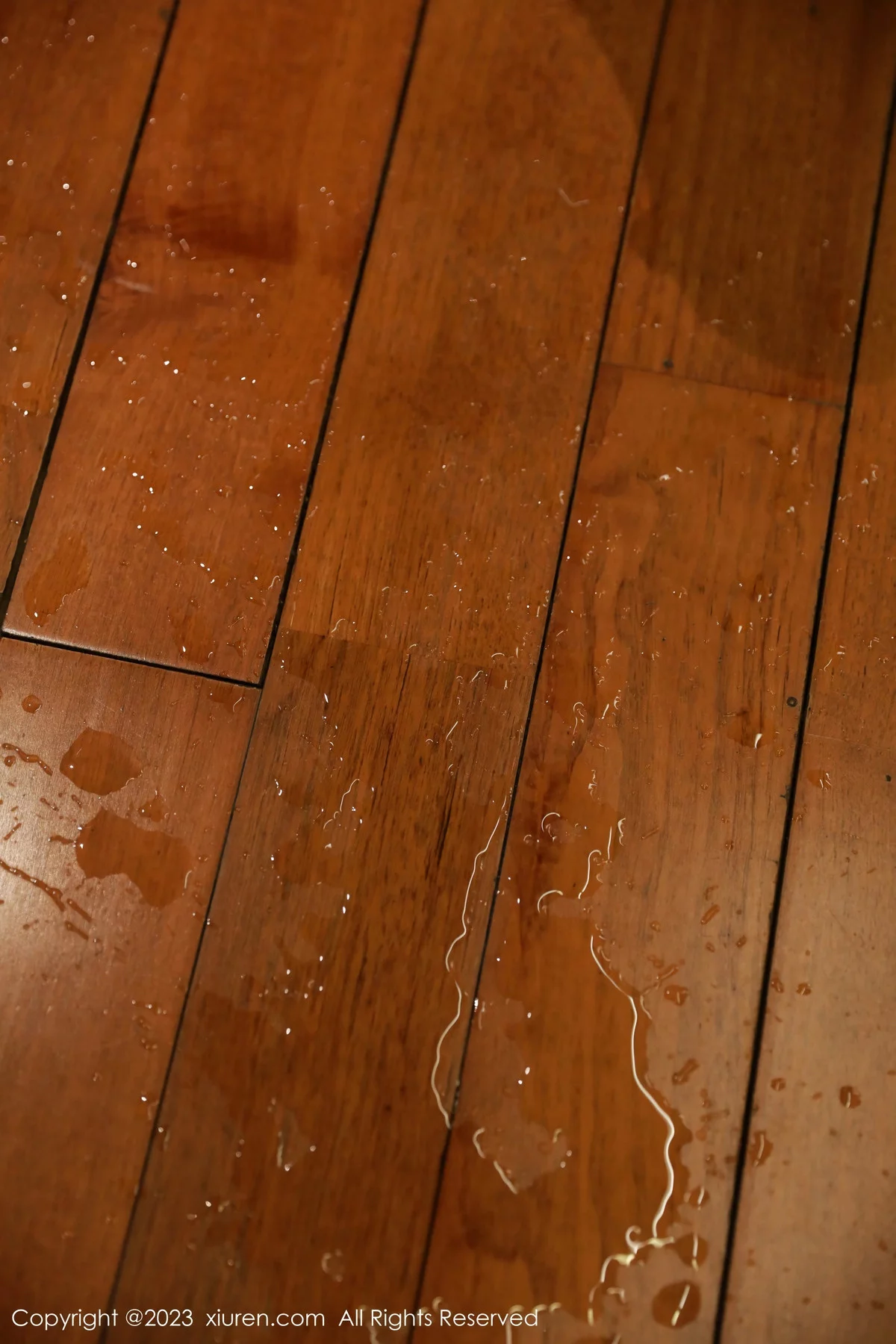 秀人集.com_[XiuRen秀人网]No.7821_新人模特小薯条nienie健身房性感浅色运动服秀完美身材诱惑写真71P