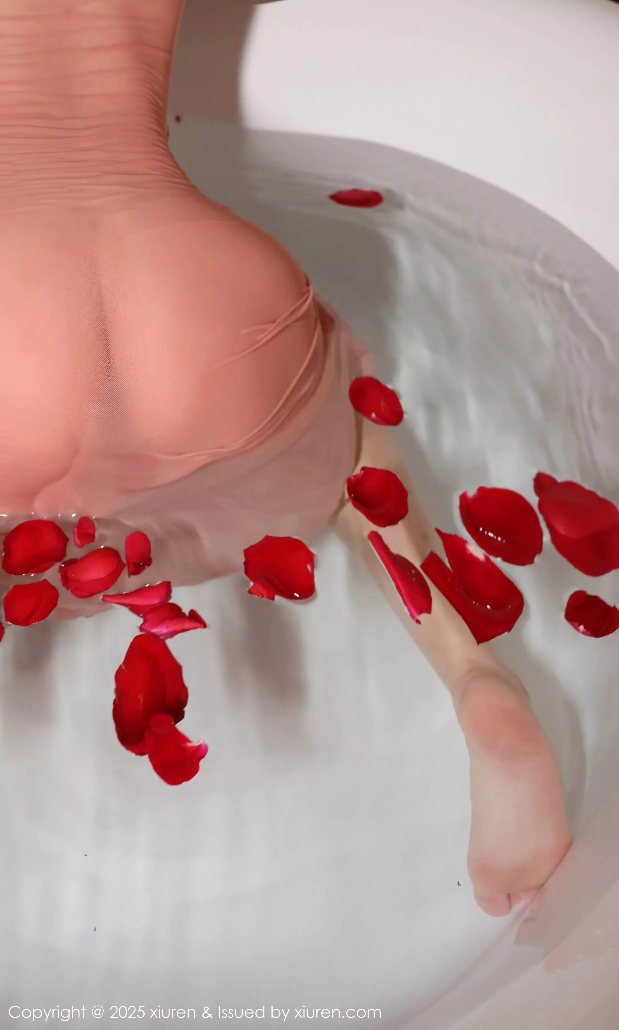 秀人集.com_[XiuRen秀人网]No.10229_模特小薯条nienie性感黑色连体丝袜+粉色吊带长裙秀美腿诱惑写真84P